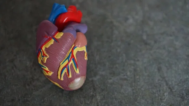 Alsi ke fayde in Hindi