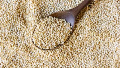 Kodo millet in hindi