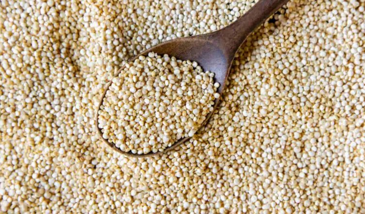 Kodo millet in hindi