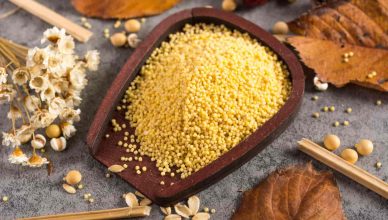 foxtail millet in hindi