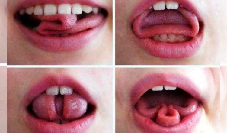 Trixie Tongue Tricks